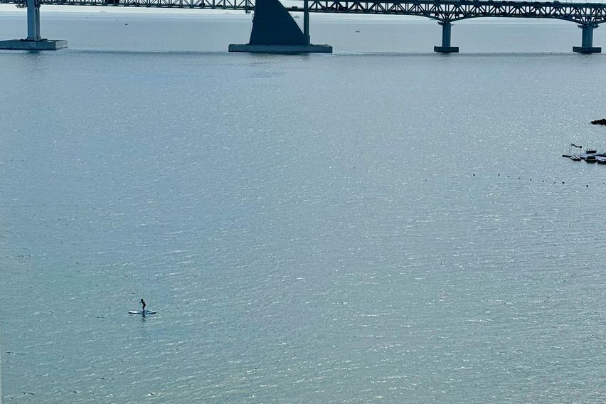 광안리바다를 품고 있는