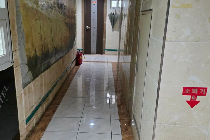 혼자살기딱좋다/추천⭐️ 8번째 이미지