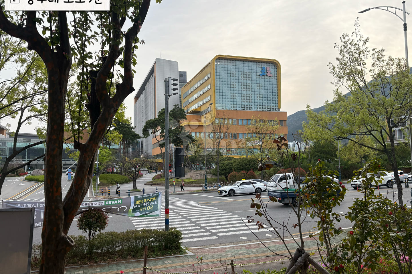 🥨 New: Yangsan Pusan National University Hos 18th image