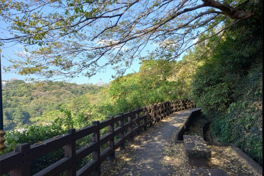 중문 유리 하우스 19번째 이미지