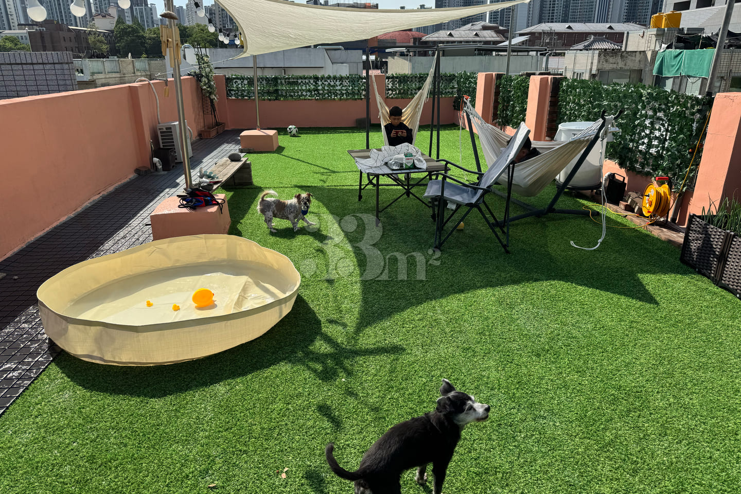 Pet-friendly rooftop right by the subway stat 16th image
