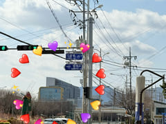 🥨 New: Yangsan Pusan National University Hos 19th image