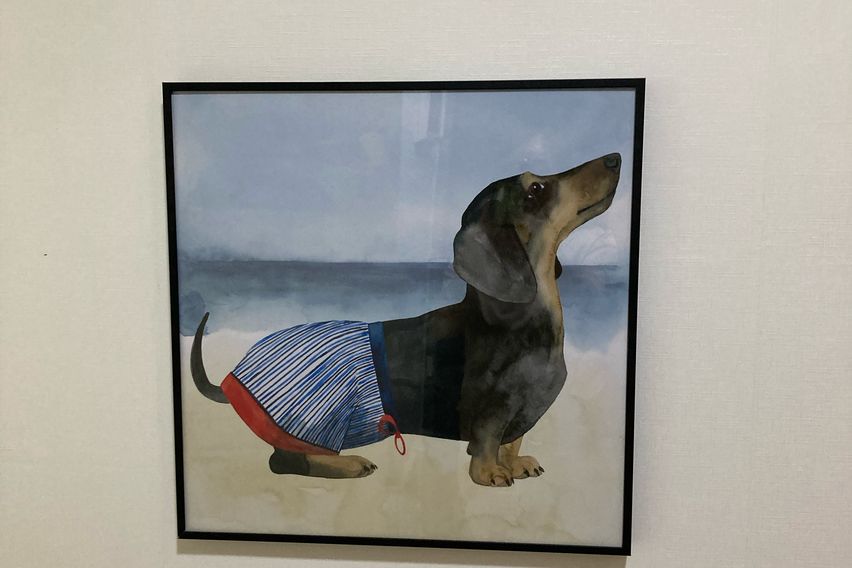 새로오픈한 예쁜집$$$ 16번째 이미지