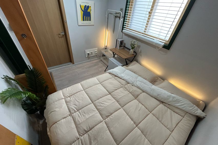 오드 스탠다드 307