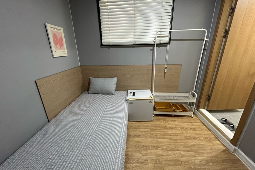 오드 스탠다드 103