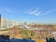 Jamsil 🧡 Neat duplex with Olympic Park view 12th image