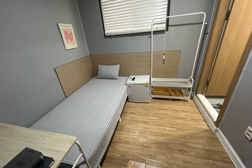 오드 스탠다드 103