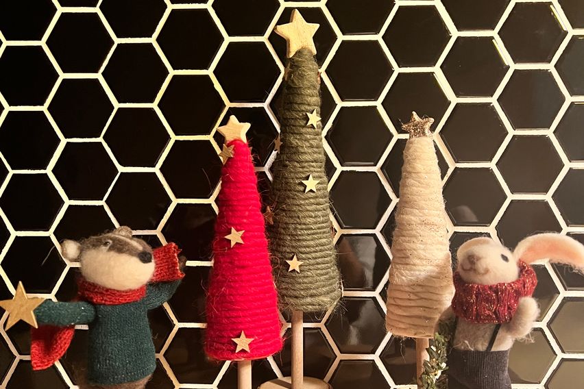 국립암센터 올수리