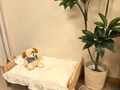 🐶 서면프리미엄펫스테이 6번째 이미지