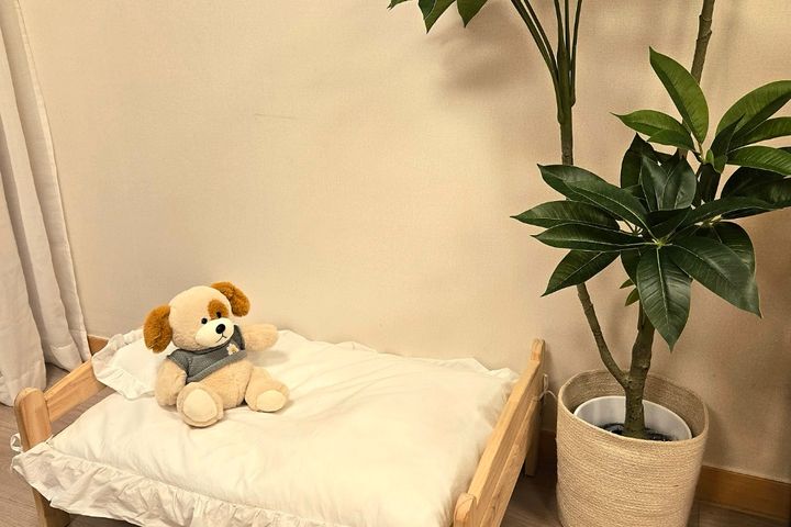 🐶 서면프리미엄펫스테이 6번째 이미지
