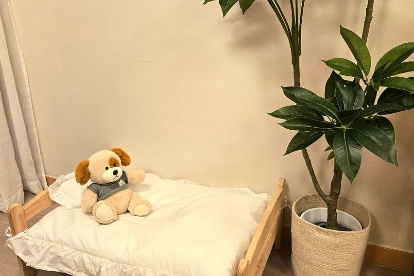 🐶 서면프리미엄펫스테이 6번째 이미지