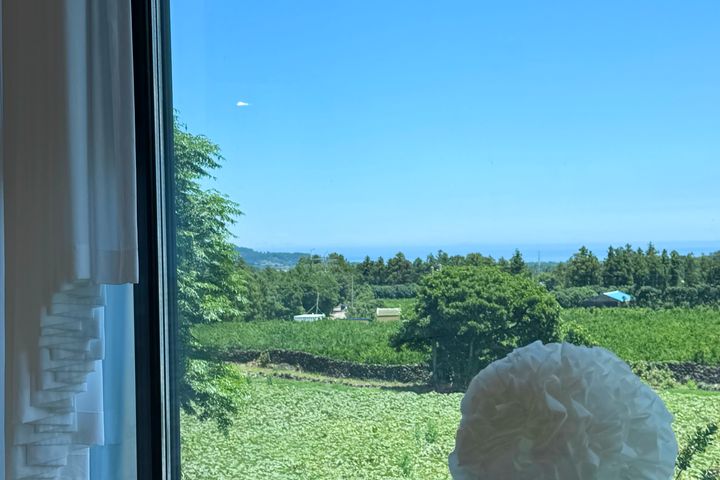 함덕,뻥 뚫린 통창창문 19번째 이미지