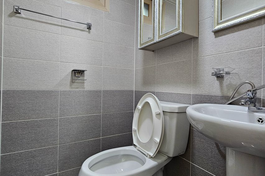 💛 현스빌애완가305💛 6번째 이미지