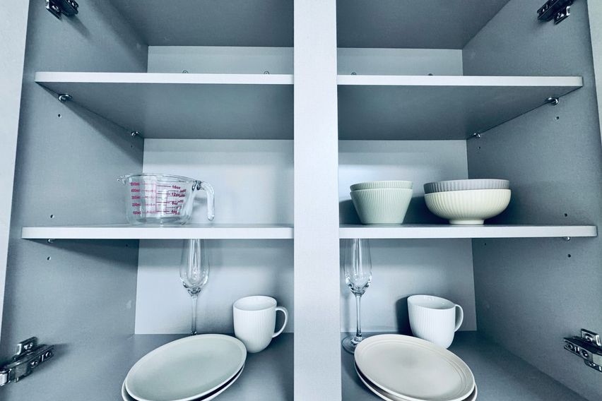 ❤️인덕원 과천/애견동반