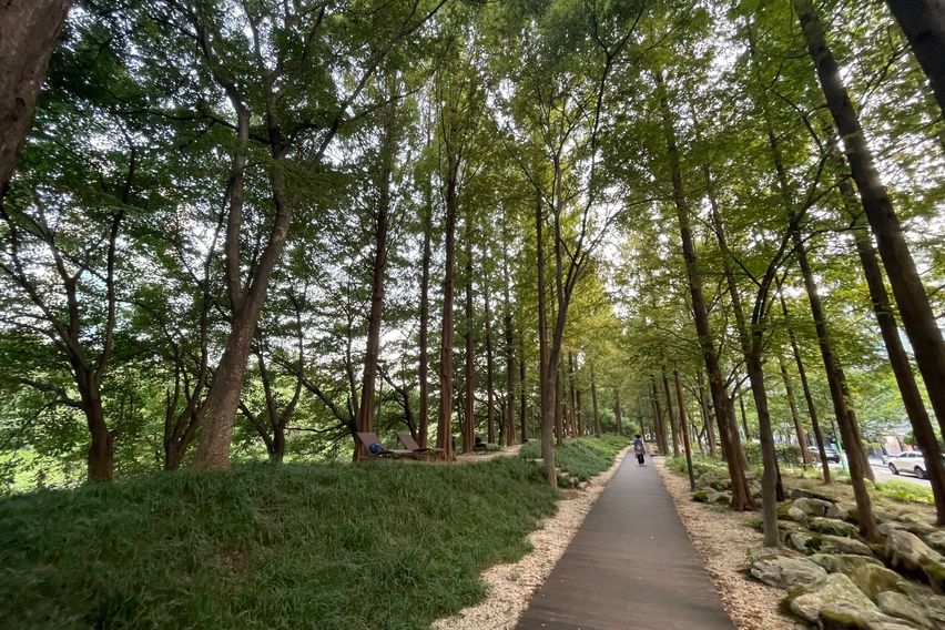 타워팰리스옆 원룸아파트 18번째 이미지