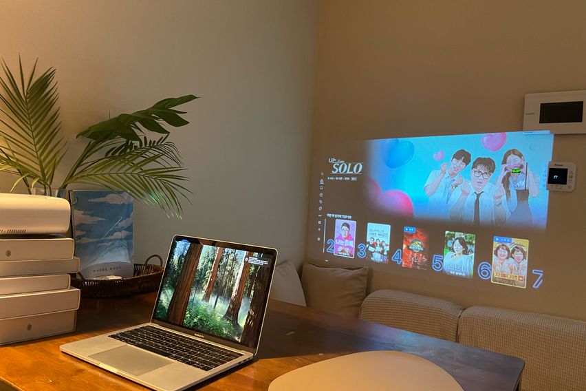 🛏️명동 WarmStay