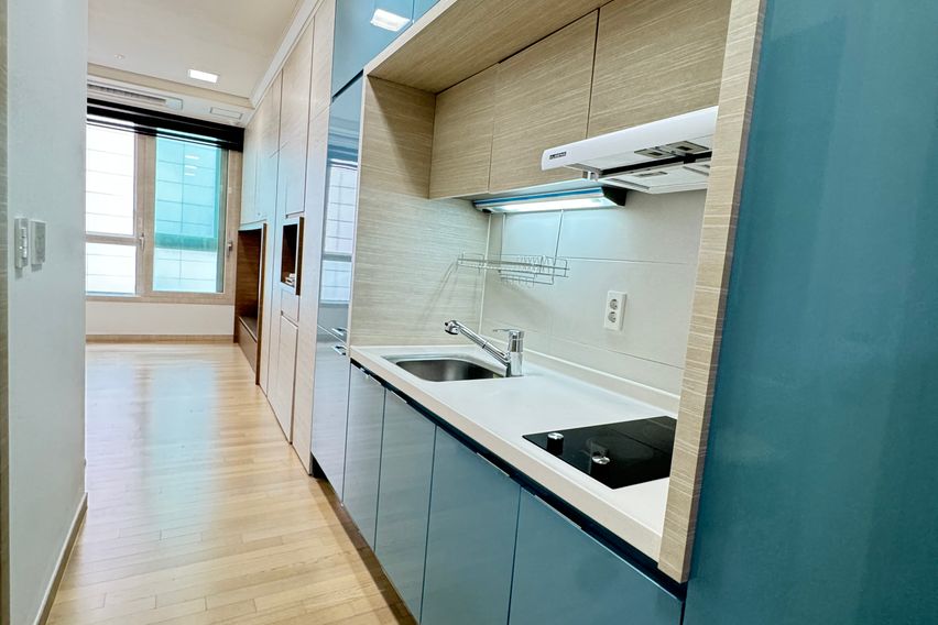 수서5분🩷풀 옵션