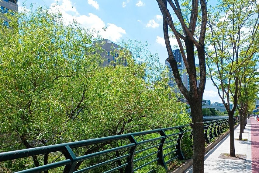 복층형 풀옵션 하늘서재 19번째 이미지