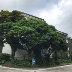 House of Friendship Unit Image
