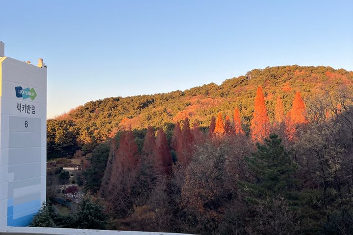 창원 숲뷰 아파트,풀옵 17번째 이미지