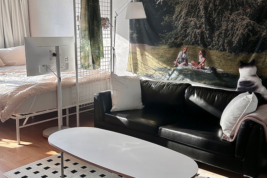 정발산역/암센터 인근🧡