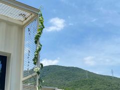 🌿용인 광교산 자연주택 17번째 이미지
