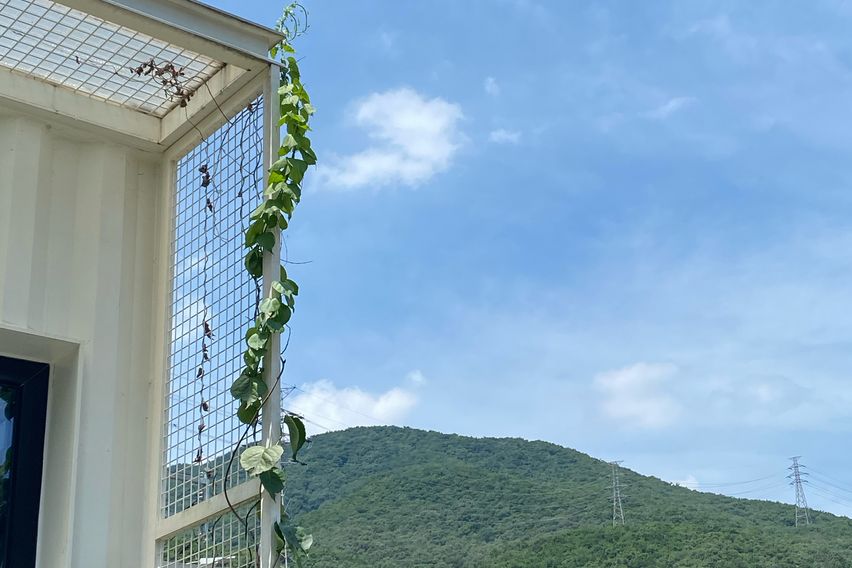 🌿용인 광교산 자연주택 17번째 이미지