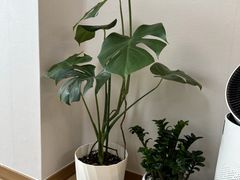 수서역 1분 스위트룸🌳 11번째 이미지