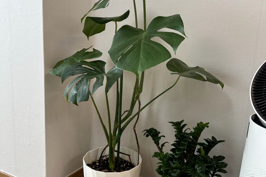 수서역 1분 스위트룸🌳 11번째 이미지