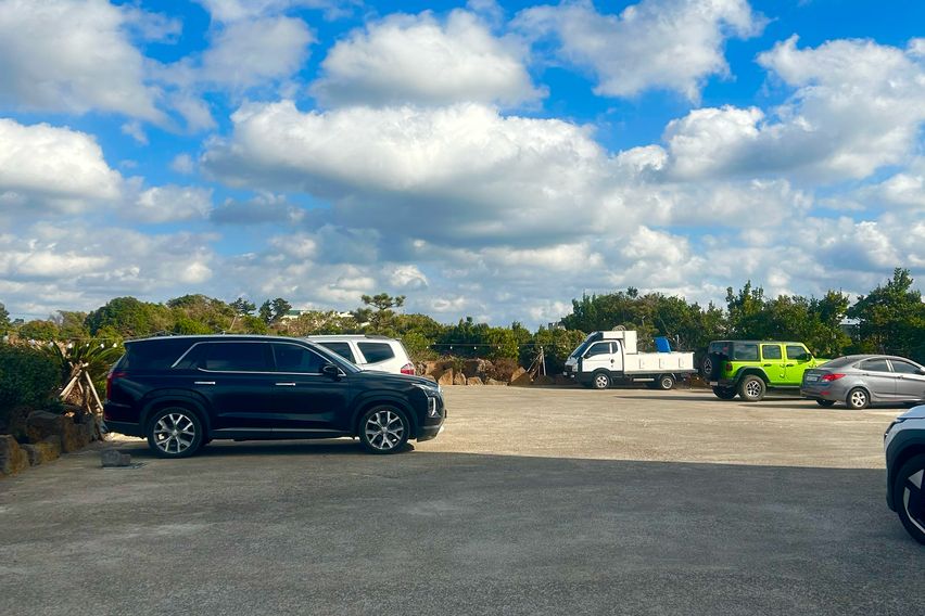 바다와 돌고래 오션뷰