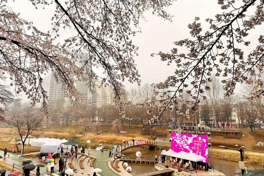 강남 대치동💎패밀리룸