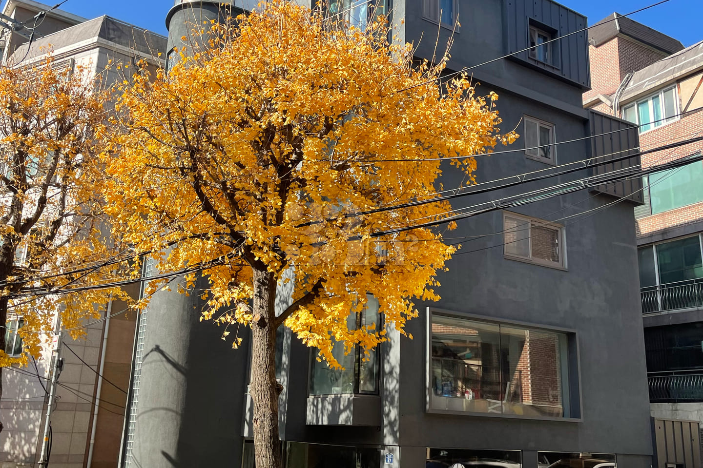 Two-room apartment near Seoul National Univer 19th image