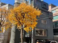Two-room apartment near Seoul National Univer 19th image