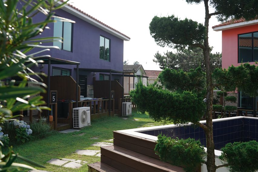 제주 구좌 숲한달 3번째 이미지