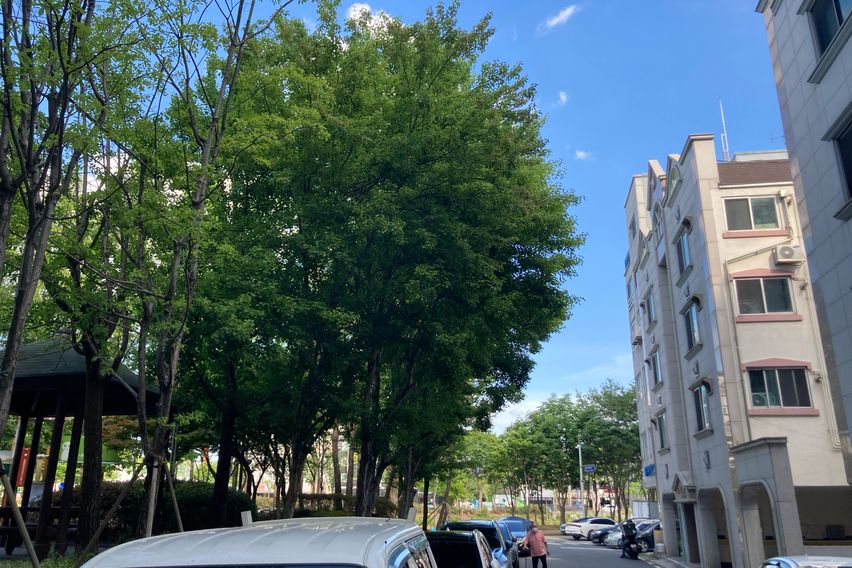 Amistad Two-Room 17th image