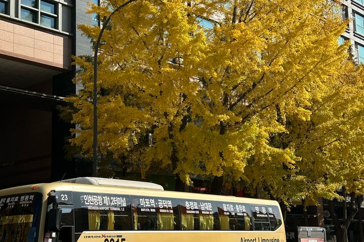 서울역 시청 명동 공덕 17번째 이미지