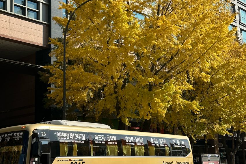 서울역 시청 명동 공덕