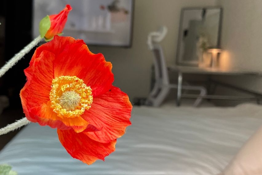 🔥여의도/프리미엄🍏