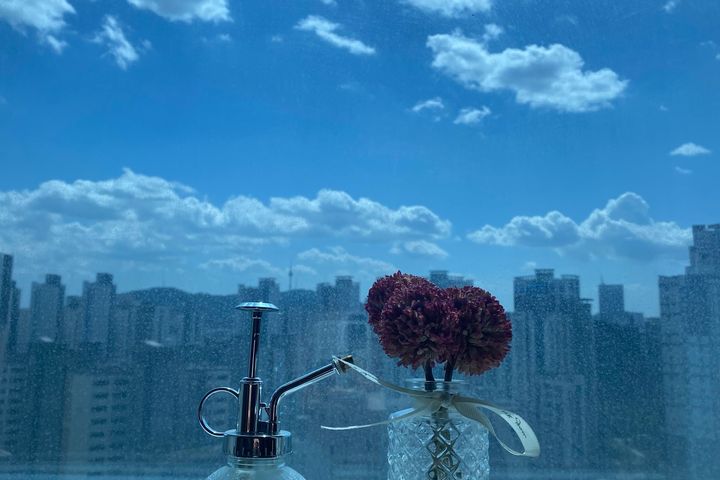 Duplex, fully furnished, with a sky library 6th image