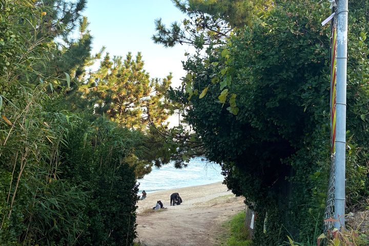 하평해변 돌담 독채 19번째 이미지