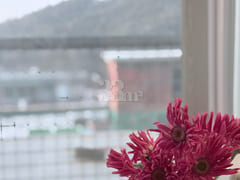 퀸3 풀옵 숲속 주차 7번째 이미지
