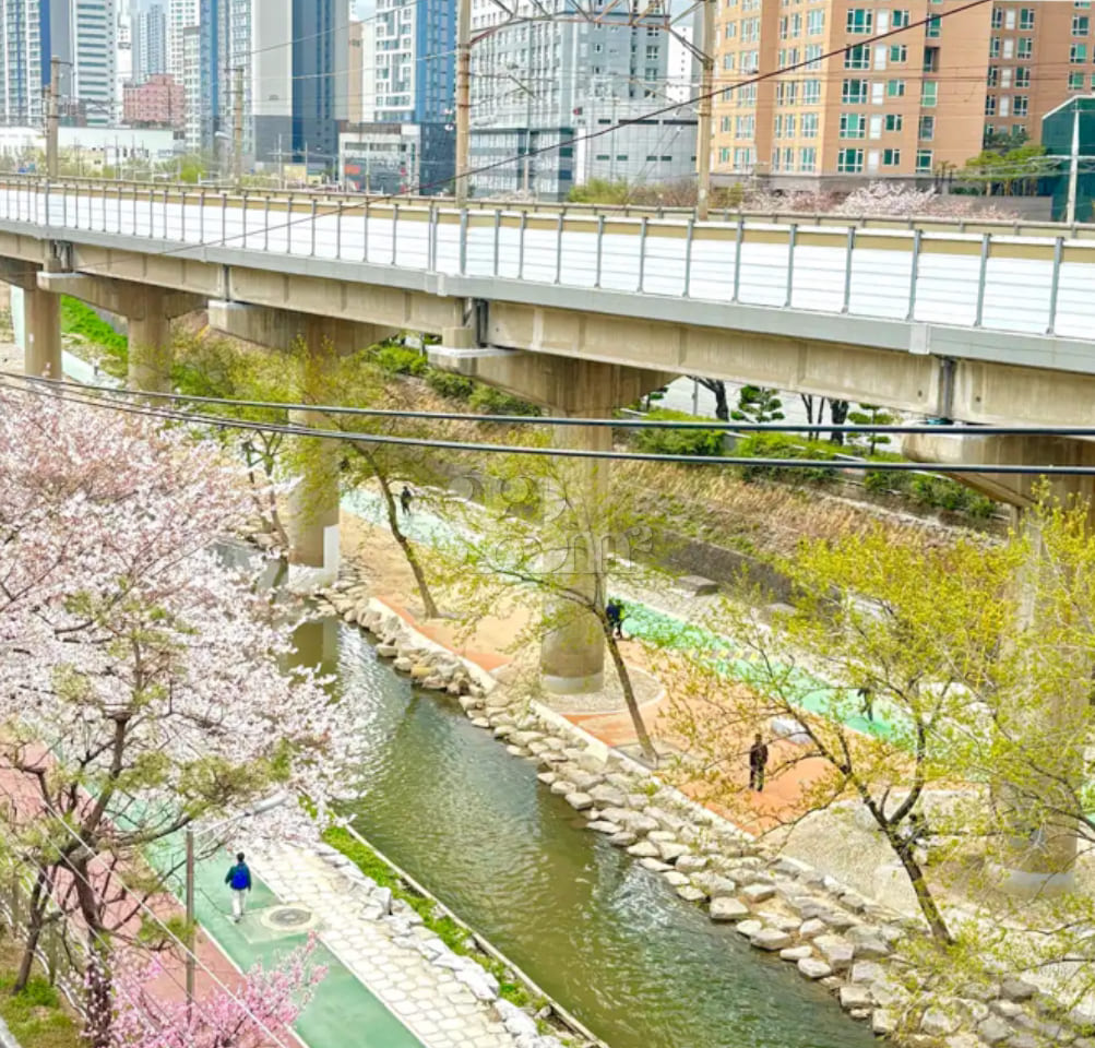 이지 하우스(역세권) 11번째 이미지