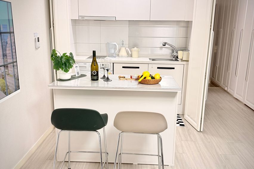 국회의사당1분｜여의도 10번째 이미지