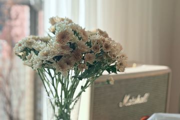 퀸3 풀옵 숲속 주차