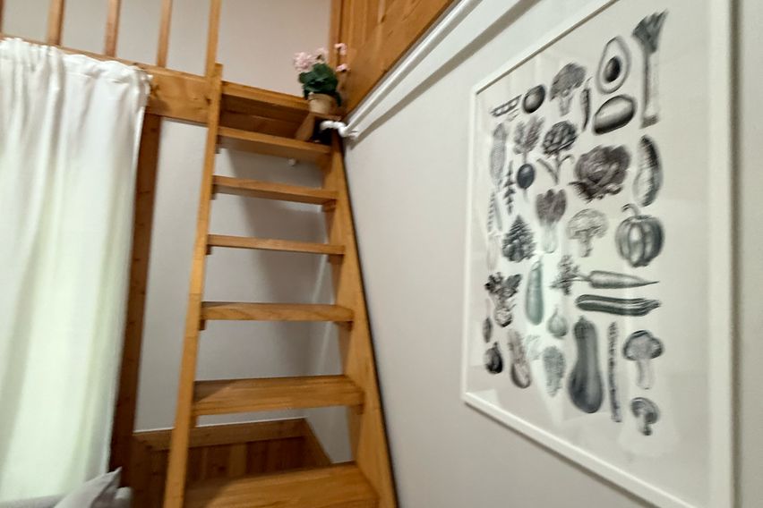 옥계동 사과나무 12번째 이미지