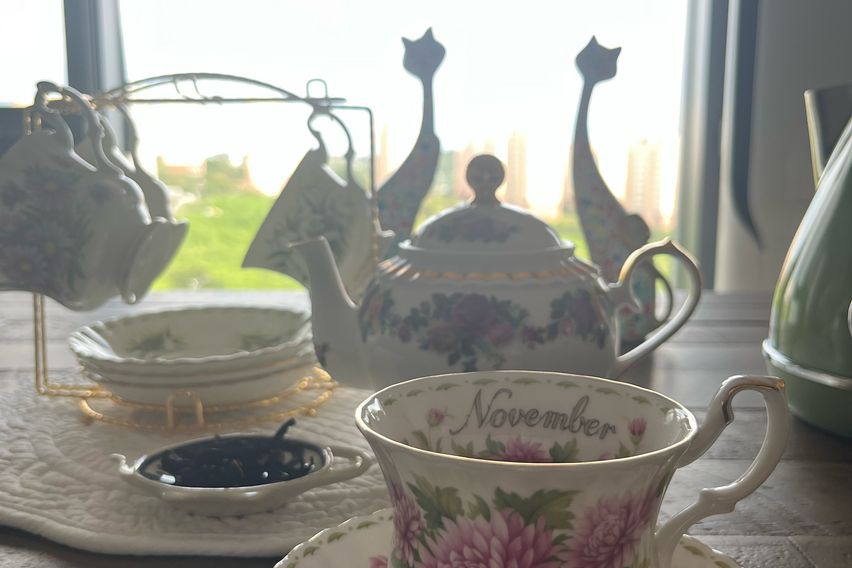  시로미 0번째 이미지