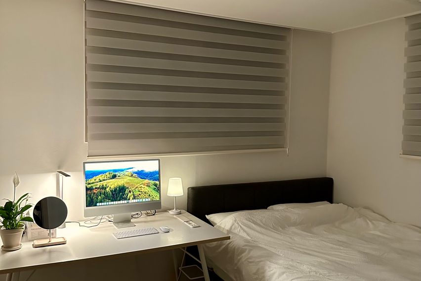 둔산 번화가메인거리