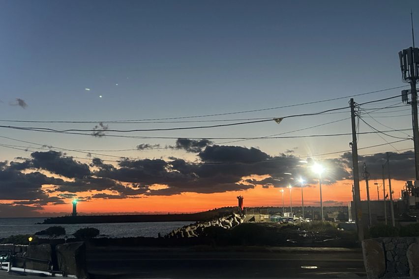 바다와 돌고래 오션뷰