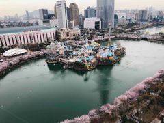 석촌호수&롯데타워 전망 10번째 이미지