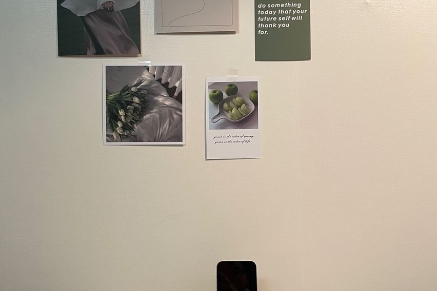 평촌 한림대 숲속의아침